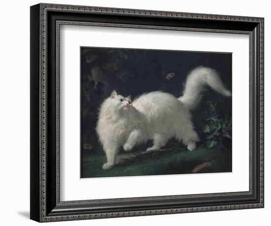 Angora Cat Chasing a Butterfly, C. 1760 (Oil on Canvas)-Jean Jacques Bachelier-Framed Giclee Print