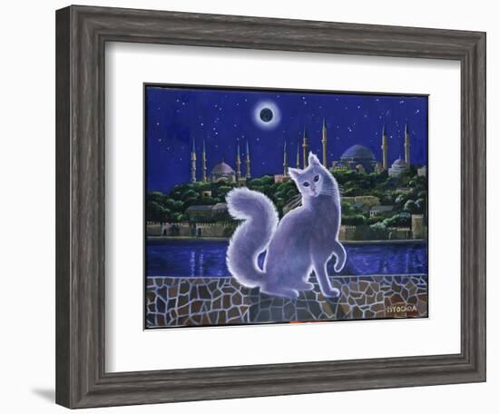 Angora Cat, Istanbul-Isy Ochoa-Framed Giclee Print