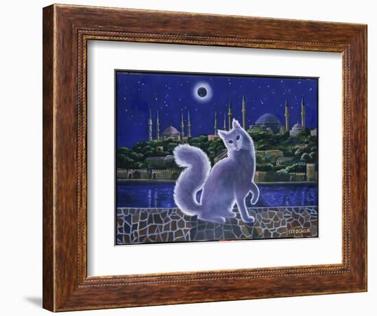 Angora Cat, Istanbul-Isy Ochoa-Framed Giclee Print