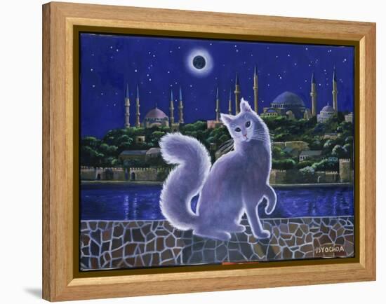 Angora Cat, Istanbul-Isy Ochoa-Framed Premier Image Canvas