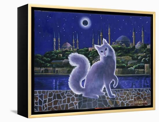 Angora Cat, Istanbul-Isy Ochoa-Framed Premier Image Canvas