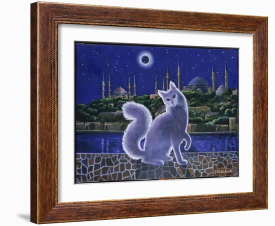 Angora Cat, Istanbul-Isy Ochoa-Framed Giclee Print