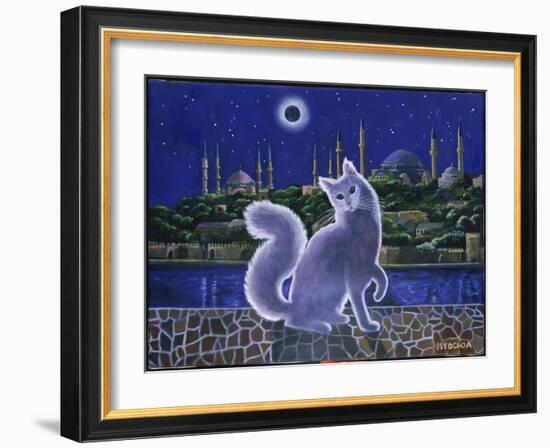 Angora Cat, Istanbul-Isy Ochoa-Framed Giclee Print