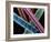 Angora Wool-Science Photo Library-Framed Photographic Print