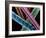 Angora Wool-Science Photo Library-Framed Photographic Print