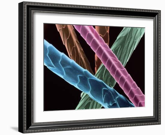 Angora Wool-Science Photo Library-Framed Photographic Print