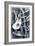 Angraecum, 1948-Isabel Alexander-Framed Giclee Print