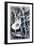 Angraecum, 1948-Isabel Alexander-Framed Giclee Print