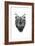 Angry Bear With Antlers-Balazs Solti-Framed Art Print