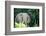 Angry elephant in Uganda's Murchison Falls National Park, Uganda, Africa-Tom Broadhurst-Framed Photographic Print