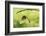 Angry Mantis-Gunarto Song-Framed Photographic Print