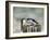 Angry Swallows-Jai Johnson-Framed Giclee Print