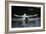 Angry Swan-Charles Bowman-Framed Photographic Print