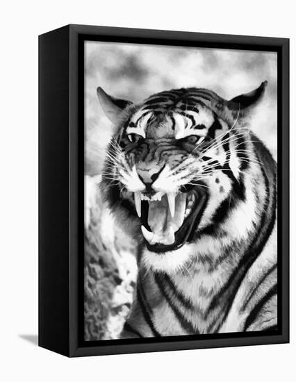 Angry Tiger Face-Snap2Art-Framed Stretched Canvas