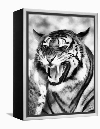 Angry Tiger Face-Snap2Art-Framed Stretched Canvas