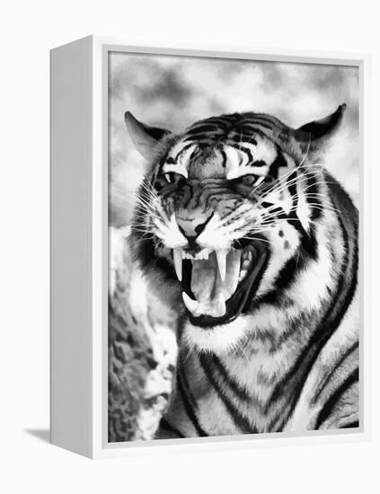 Angry Tiger Face-Snap2Art-Framed Stretched Canvas