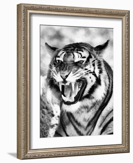 Angry Tiger Face-Snap2Art-Framed Art Print