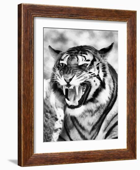 Angry Tiger Face-Snap2Art-Framed Art Print