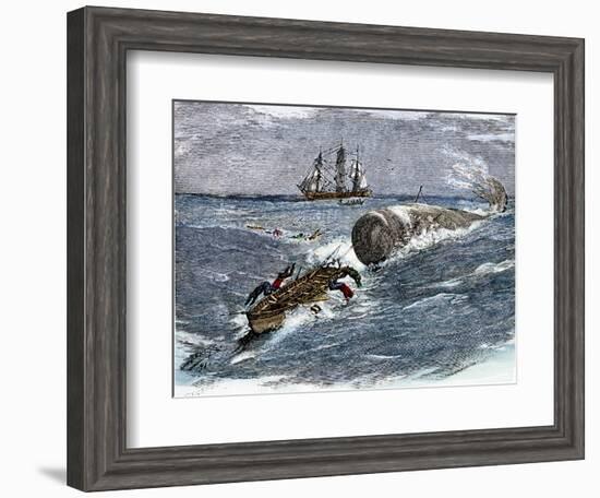 Angry Whale Chasing a Harpoon Boat-null-Framed Giclee Print