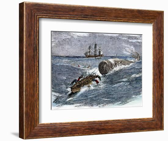 Angry Whale Chasing a Harpoon Boat-null-Framed Giclee Print