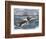 Angry Whale Chasing a Harpoon Boat-null-Framed Giclee Print