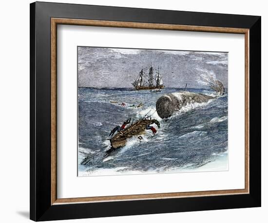 Angry Whale Chasing a Harpoon Boat-null-Framed Giclee Print