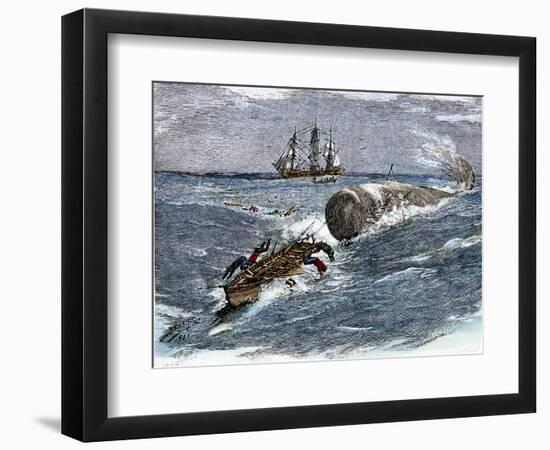 Angry Whale Chasing a Harpoon Boat-null-Framed Giclee Print