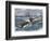 Angry Whale Chasing a Harpoon Boat-null-Framed Giclee Print