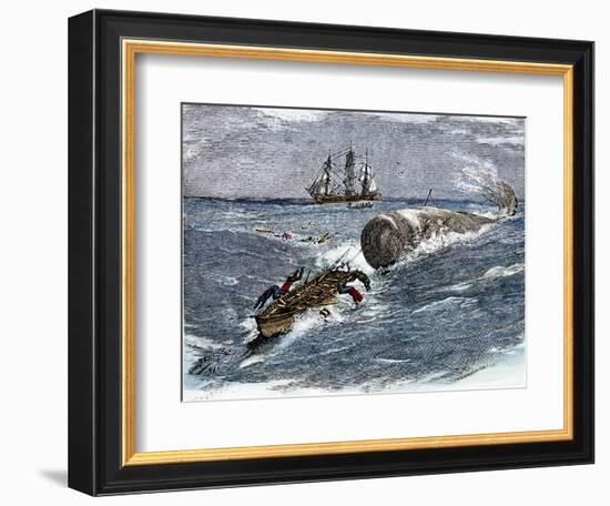 Angry Whale Chasing a Harpoon Boat-null-Framed Giclee Print