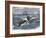 Angry Whale Chasing a Harpoon Boat-null-Framed Giclee Print