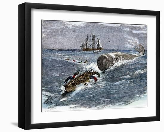 Angry Whale Chasing a Harpoon Boat-null-Framed Giclee Print