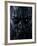 Angry!-Nathan Wright-Framed Photographic Print