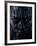 Angry!-Nathan Wright-Framed Photographic Print