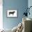 Angus Bull, Beef Cattle, Mammals-Encyclopaedia Britannica-Framed Art Print displayed on a wall