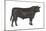 Angus Bull, Beef Cattle, Mammals-Encyclopaedia Britannica-Mounted Art Print