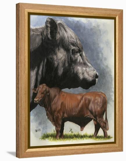 Angus Cattle-Barbara Keith-Framed Premier Image Canvas