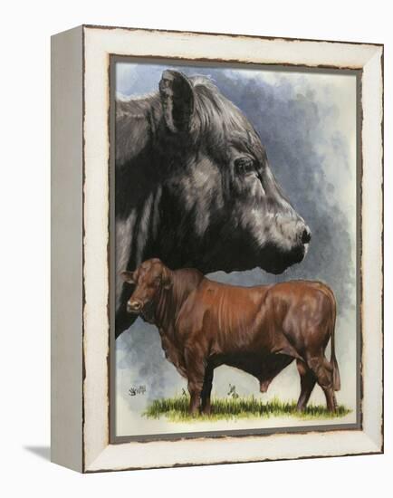 Angus Cattle-Barbara Keith-Framed Premier Image Canvas