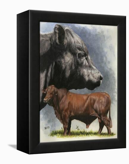 Angus Cattle-Barbara Keith-Framed Premier Image Canvas