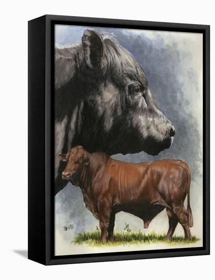 Angus Cattle-Barbara Keith-Framed Premier Image Canvas