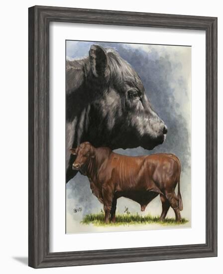 Angus Cattle-Barbara Keith-Framed Giclee Print