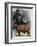 Angus Cattle-Barbara Keith-Framed Giclee Print