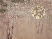 Dancing soaring light-Angus Hampel-Framed Giclee Print