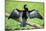 Anhinga (Anhinga Anhinga) bird, Tortuguero National Park, Limon Province, Costa Rica-Matthew Williams-Ellis-Mounted Photographic Print