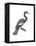 Anhinga (Anhinga Anhinga), Birds-Encyclopaedia Britannica-Framed Stretched Canvas