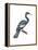 Anhinga (Anhinga Anhinga), Birds-Encyclopaedia Britannica-Framed Stretched Canvas