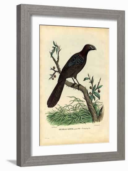 Ani, 1863-79-Raimundo Petraroja-Framed Giclee Print