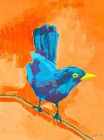 Balanced Bird I-Ania Zwara-Art Print