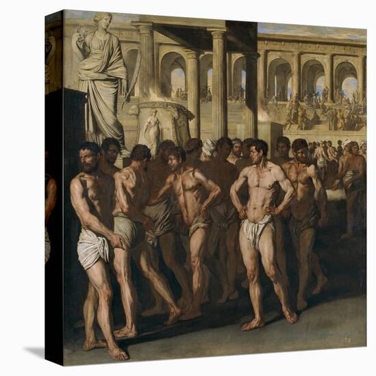 Stretched Canvas Print, , large