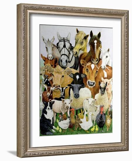 Animal Allsorts-Pat Scott-Framed Giclee Print