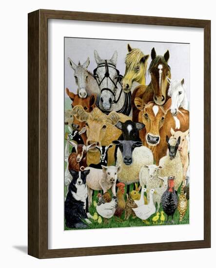 Animal Allsorts-Pat Scott-Framed Giclee Print